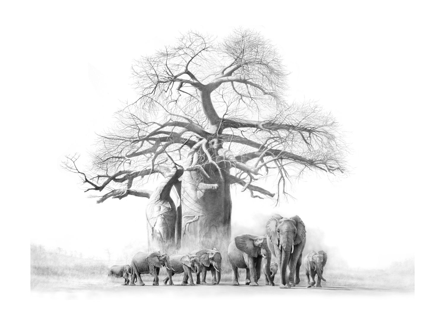 &quot;Quiet Giants&quot;