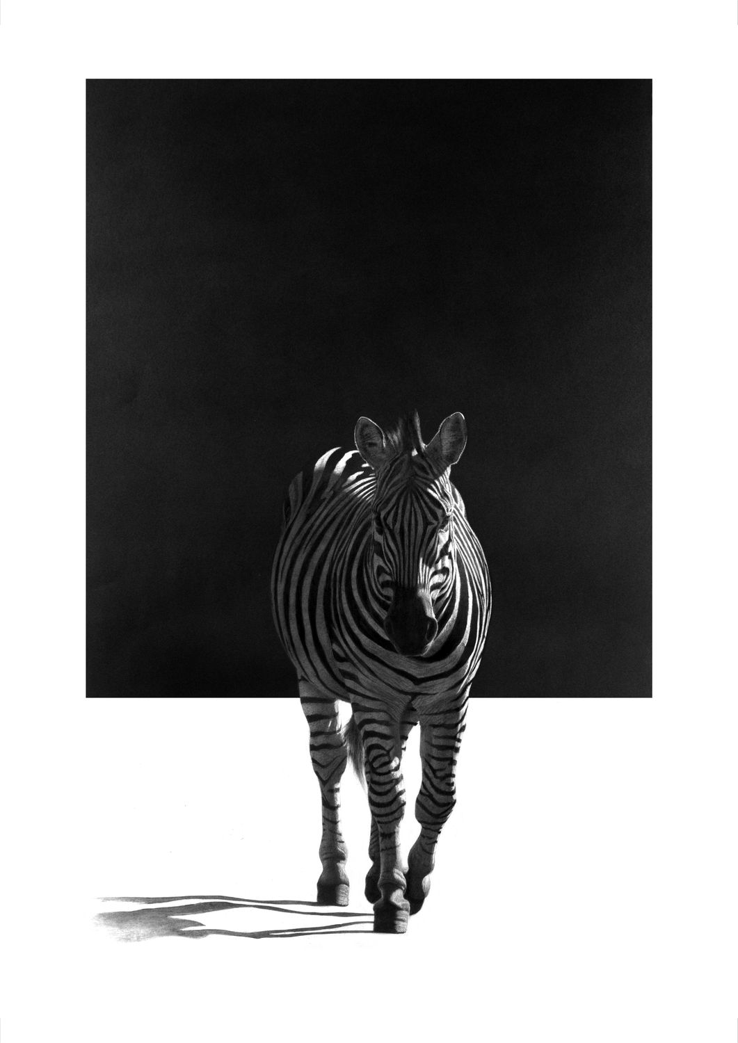 &quot;Zebra Crossing&quot;-Limited Edition Print on Fine Art Paper