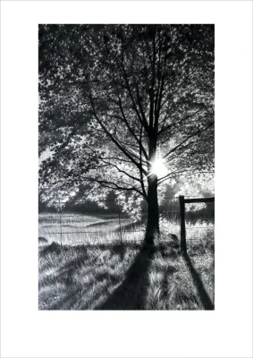 Landscapes and Country Life