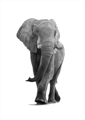 鉛筆画「A big laugh」　B5大サイズ 鉛筆画✏️B5サイズ 完成🙌 @thinkaboutzu TWICEのツウィーを描きまし