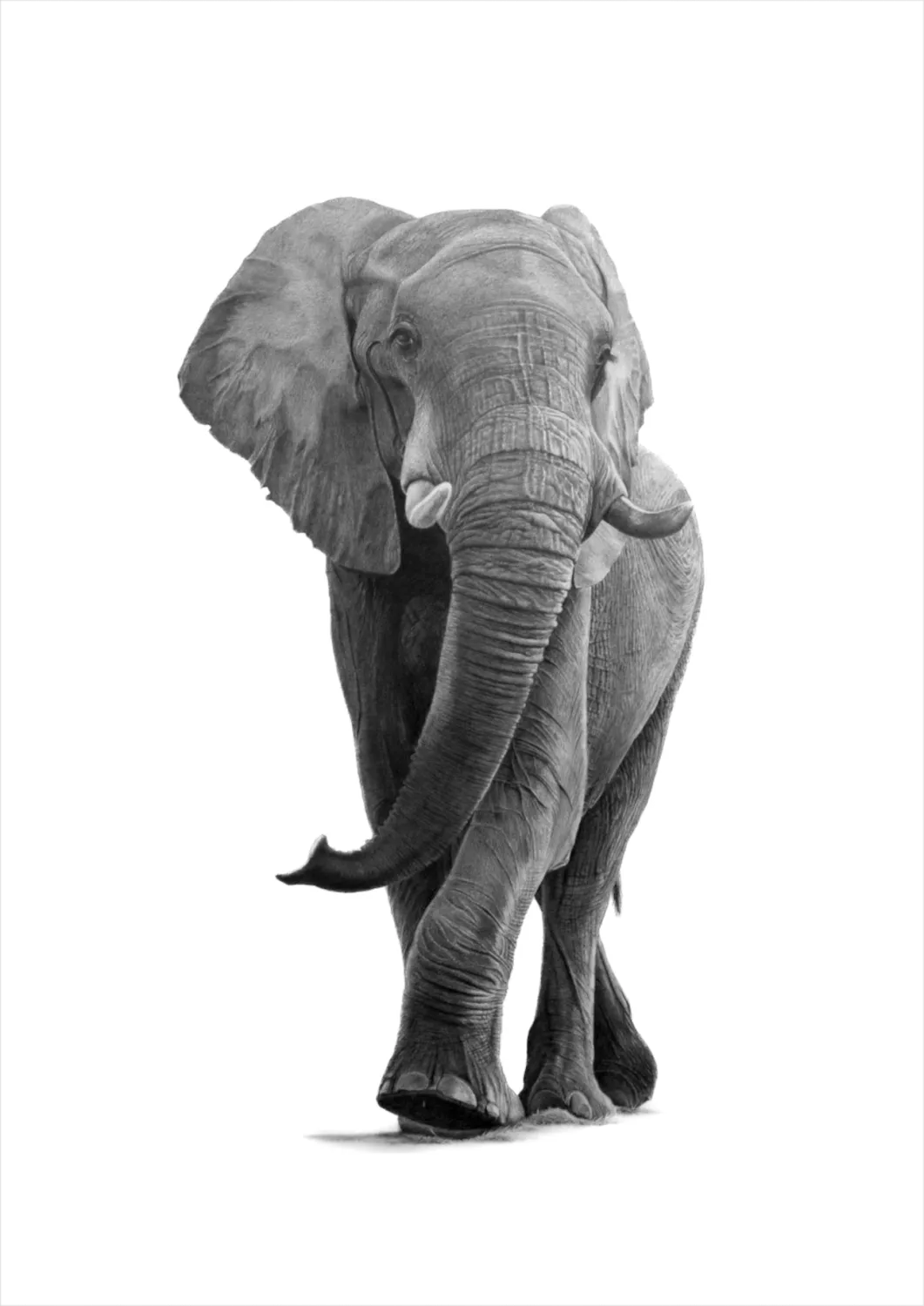 &quot;Bhoza&quot; -Limited Edition Print on Fine Art Paper