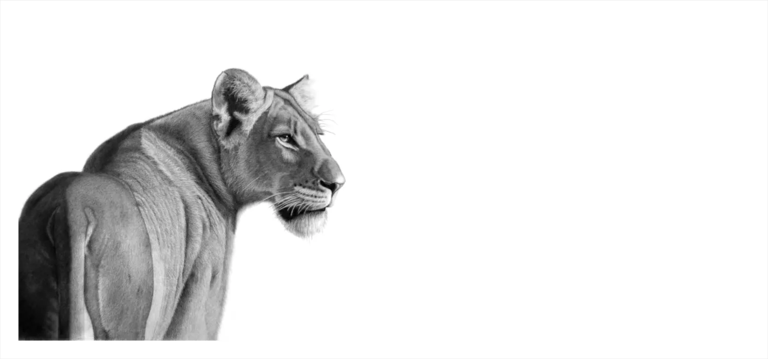 &quot;Pride and Prowess&quot; - Original Pencil Art