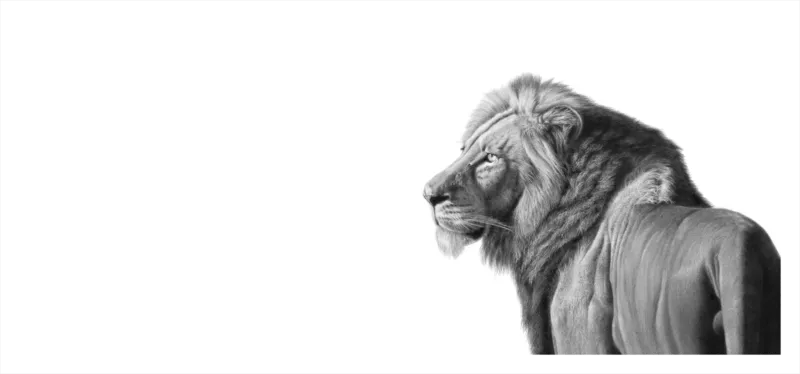 &quot;Might and Mane&quot; - Original Pencil Art