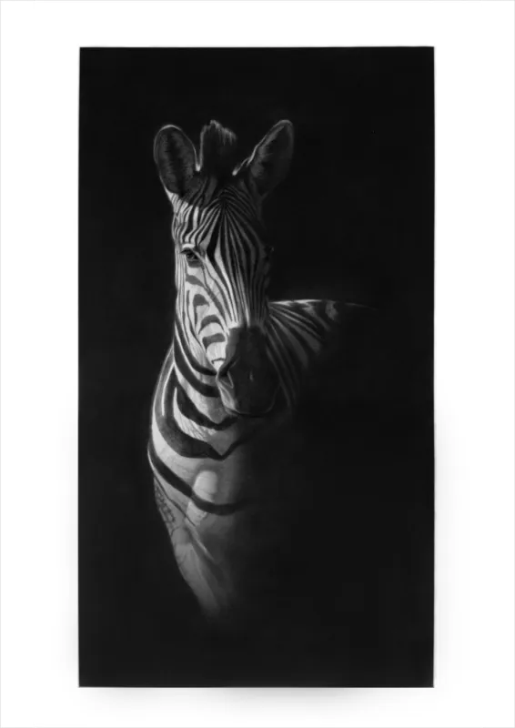 &quot;Illuminare&quot; - Original Pencil Art