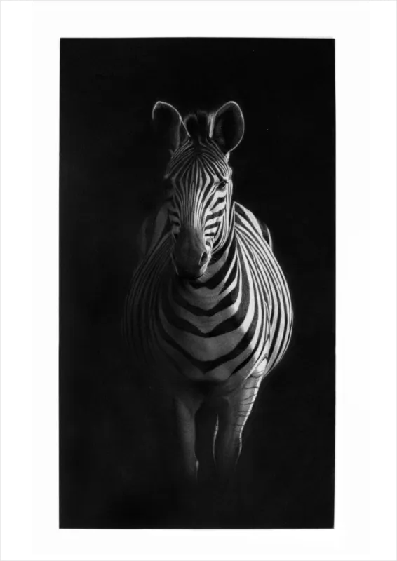 &quot;In Lucem&quot; - Original Pencil Art