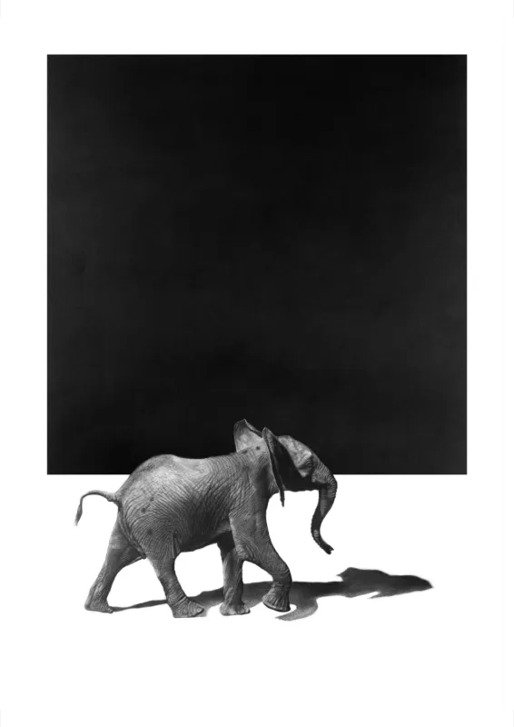 &quot;Stoutgat&quot; - Original Pencil Art