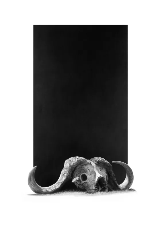 &quot;Days Gone&quot; - Original Pencil Art