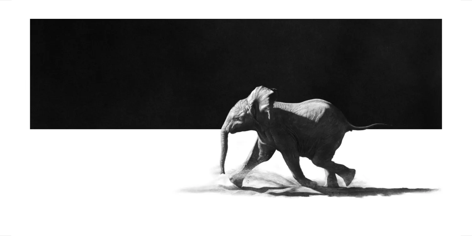 &quot;Skabenga&quot;  - Original Pencil Art