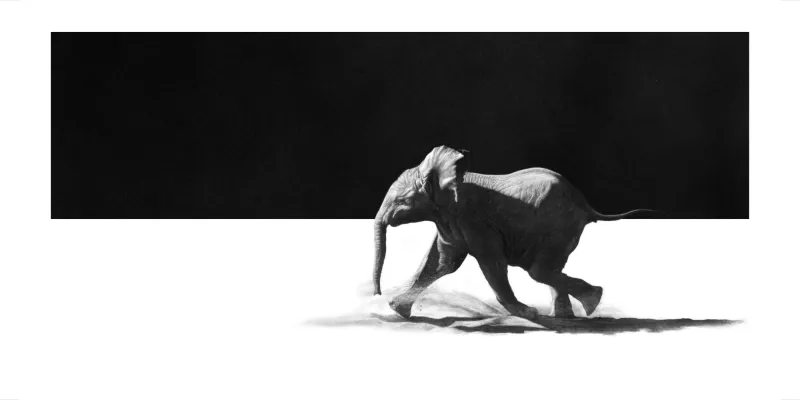 &quot;Skabenga&quot;  - Original Pencil Art