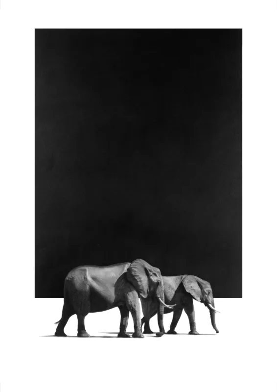 &quot;Mwezi&quot; -Limited Edition Print on Fine Art Paper