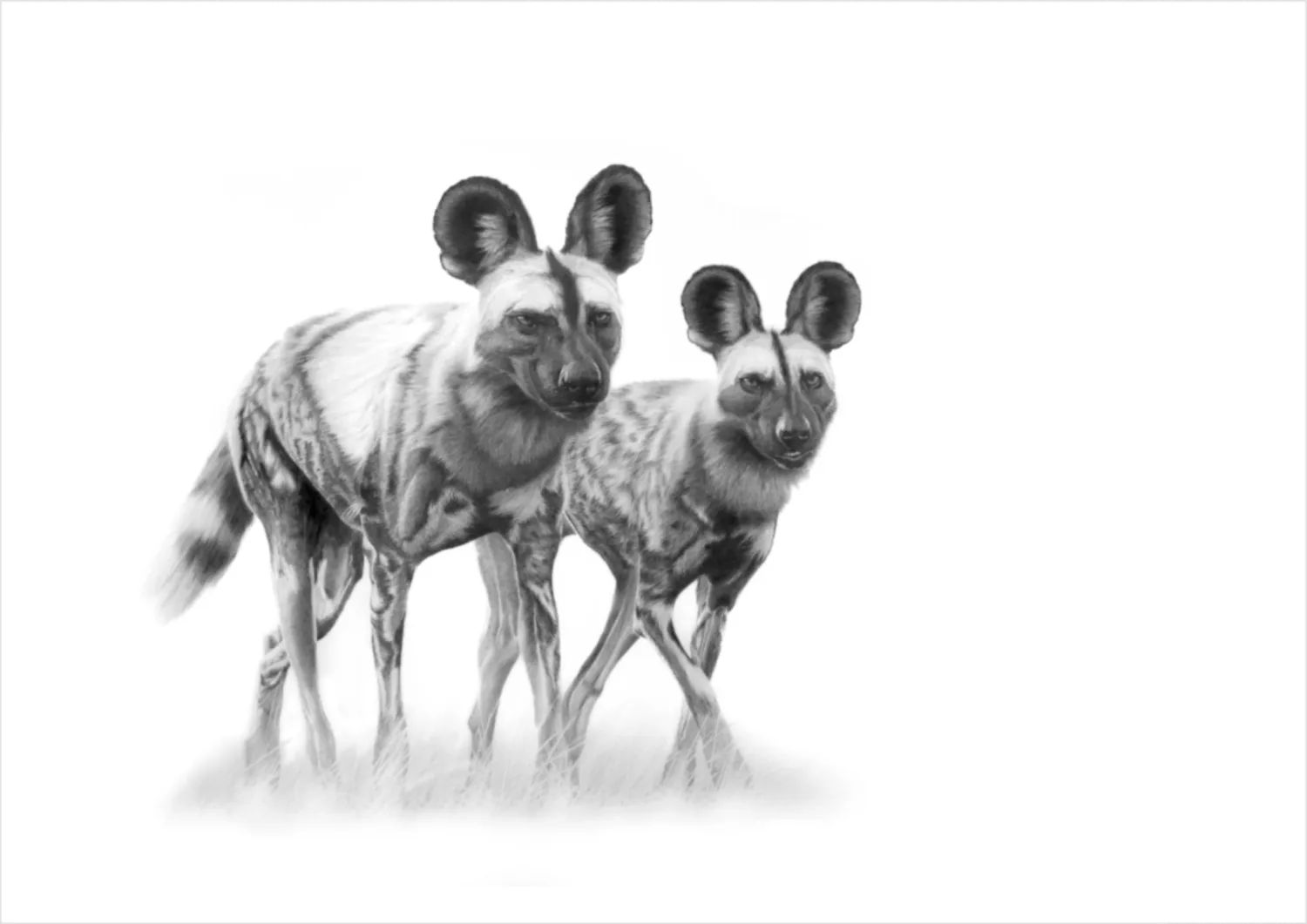 &quot;Band of Brothers&quot; -Limited Edition Print on Fine Art Paper