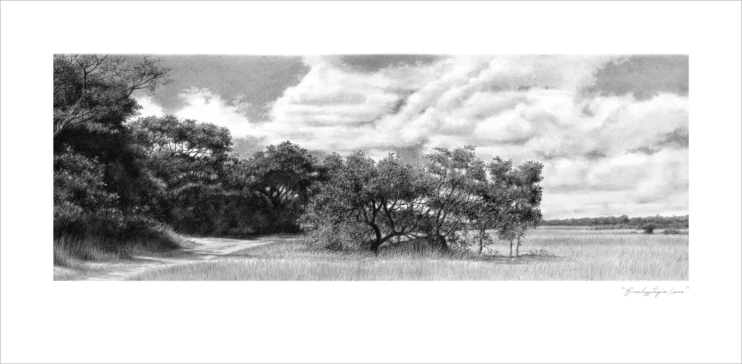 &quot;Brachystegia Lane&quot; -Limited Edition Print on Fine Art Paper