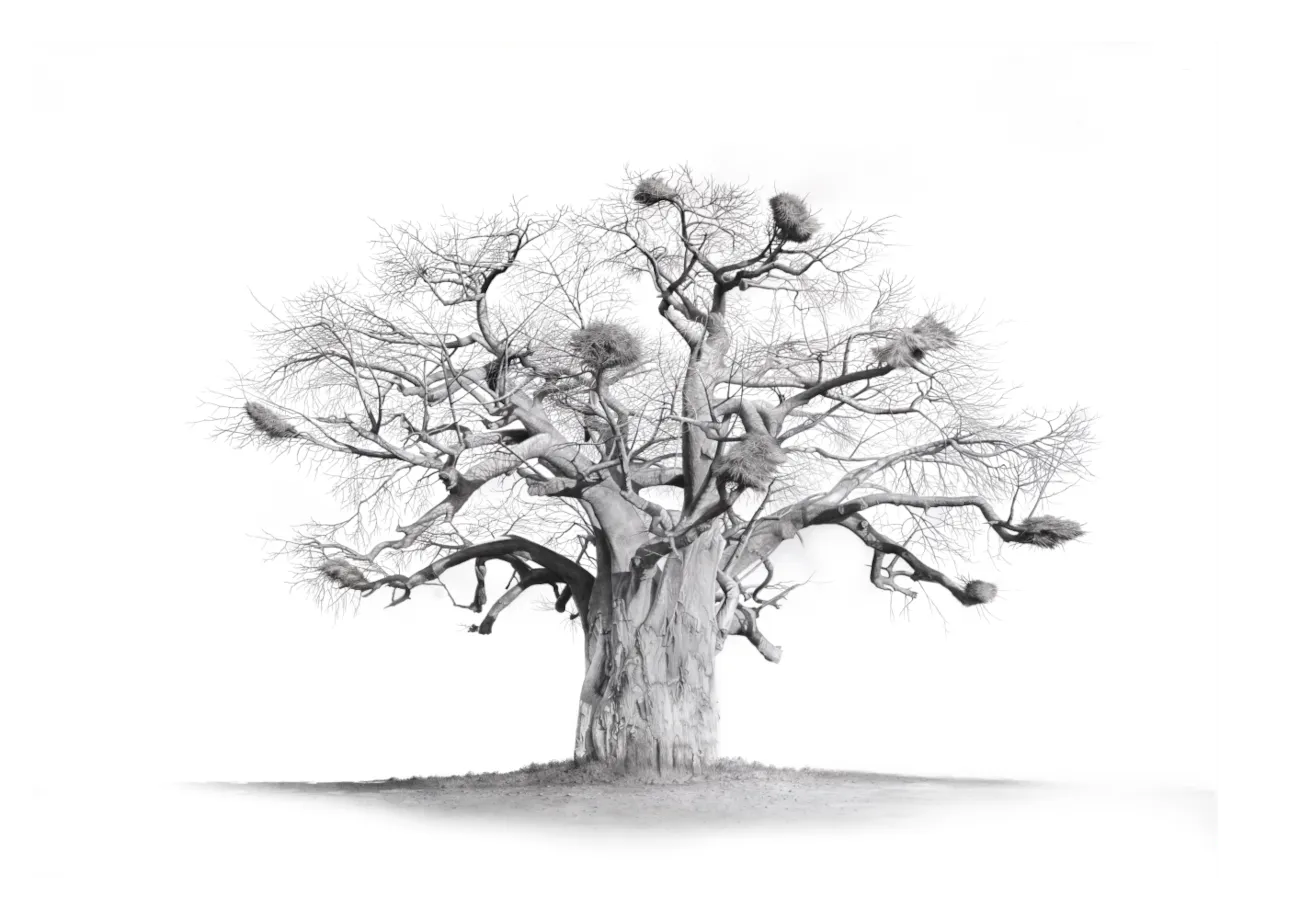 &quot;Hackthorne Sentinel&quot; -Limited Edition Print on Fine Art Paper