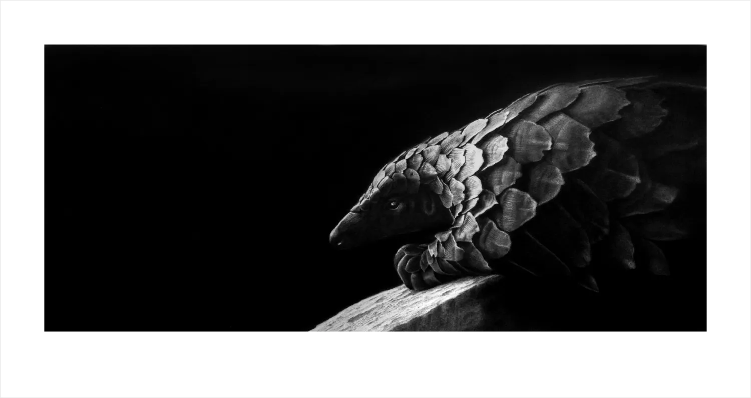 &quot;Emergere&quot; -Limited Edition Print on Fine Art Paper