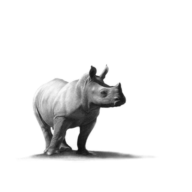 &quot;Fuphi&quot; -Limited Edition Print on Fine Art Paper