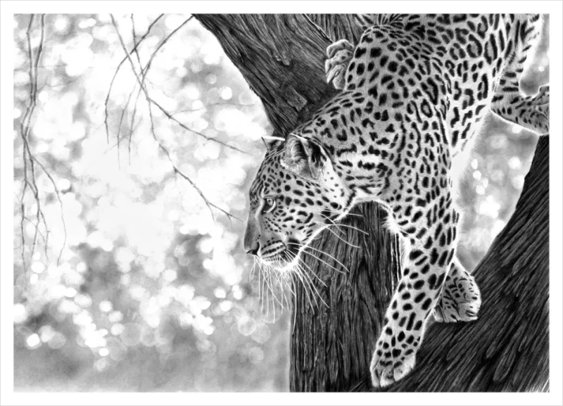 &quot;Into the Light&quot; -Limited Edition Print on Fine Art Paper