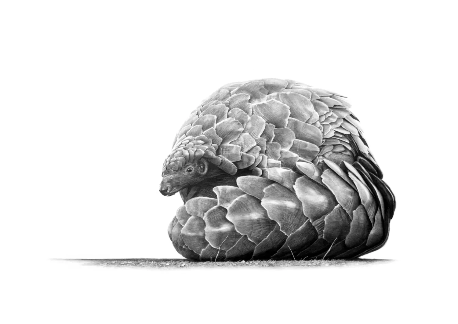 &quot;Khwara&quot; -Limited Edition Print on Fine Art Paper