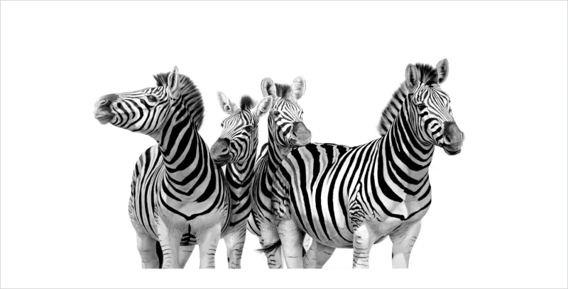 &quot;Look Both Ways&quot; -Limited Edition Print on Fine Art Paper