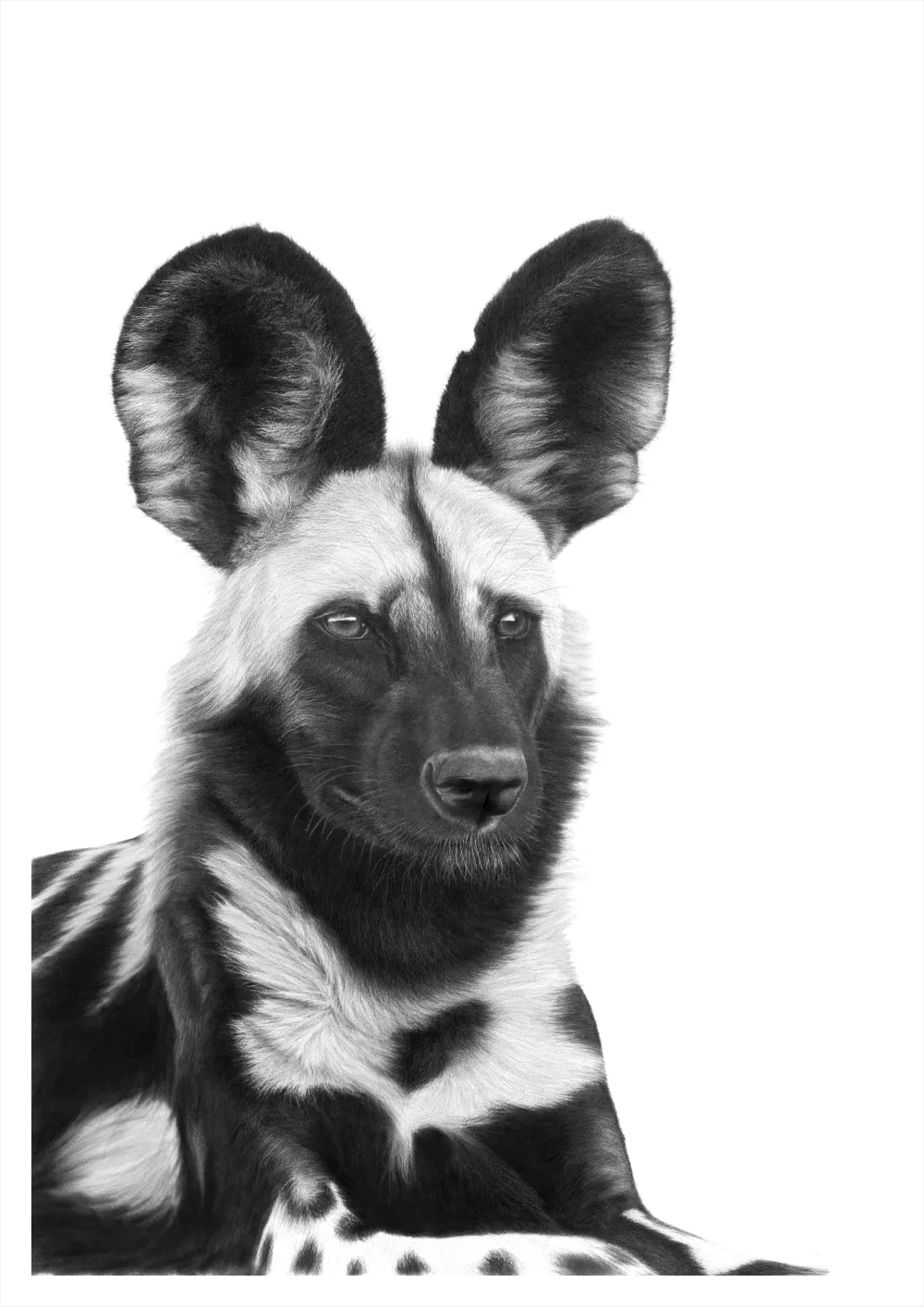 &quot;Lycaon Pictus&quot; -Limited Edition Print on Fine Art Paper