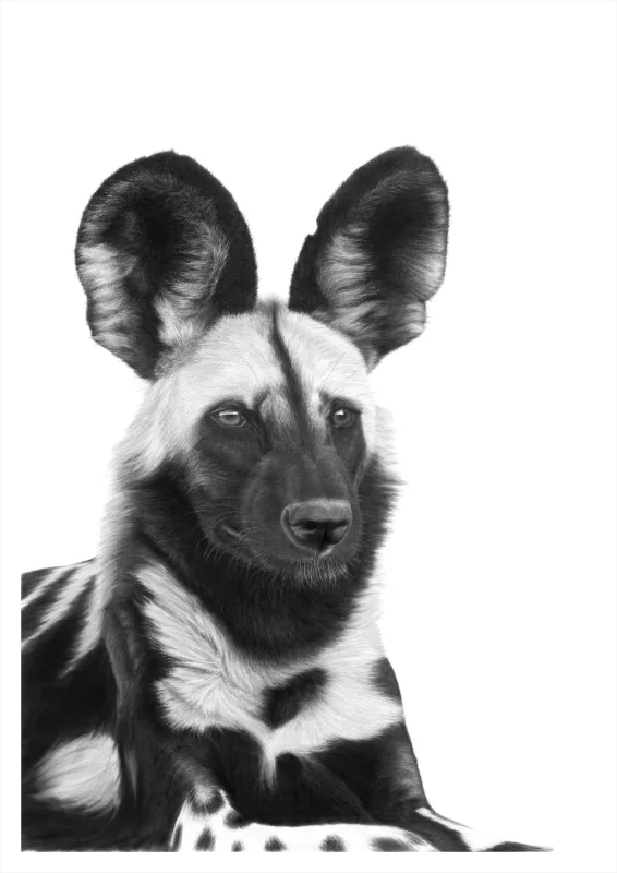 &quot;Lycaon Pictus&quot; -Limited Edition Print on Fine Art Paper