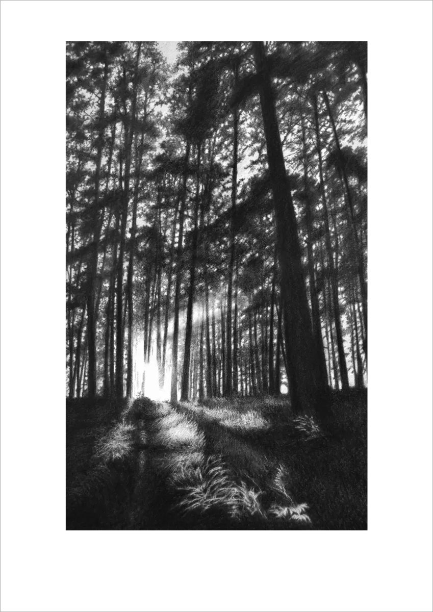 &quot;Morning Glory&quot; -Limited Edition Print on Fine Art Paper