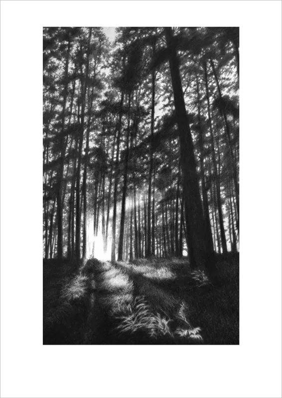 &quot;Morning Glory&quot; -Limited Edition Print on Fine Art Paper