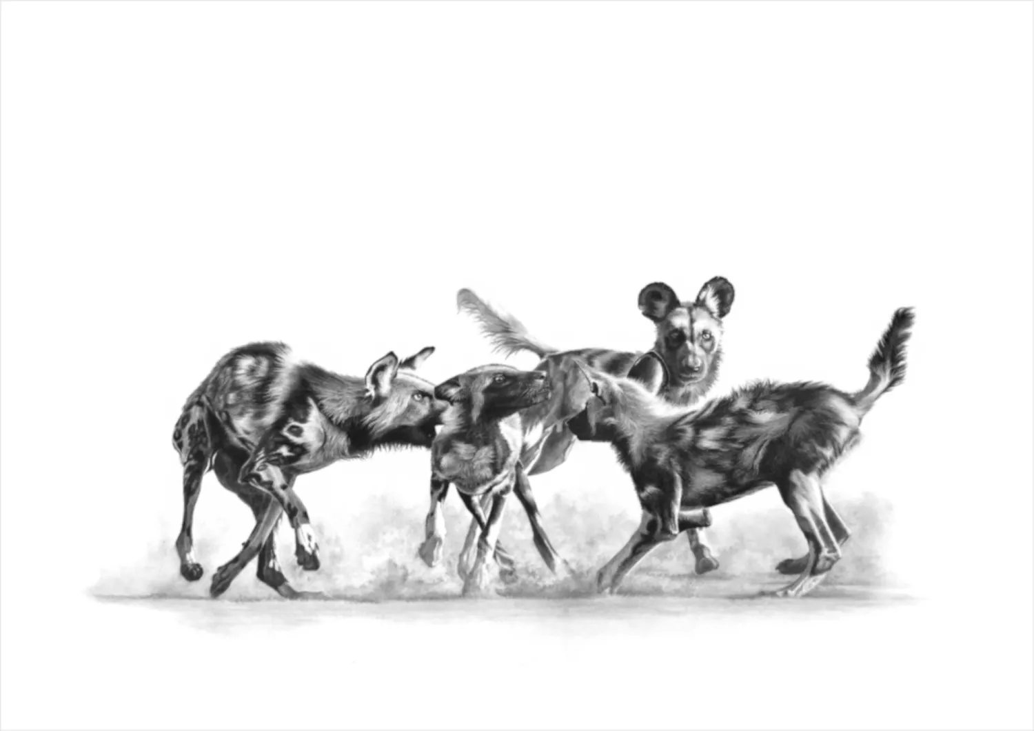 &quot;Okavango Tango&quot; -Limited Edition Print on Fine Art Paper