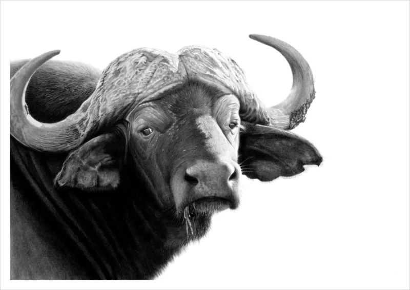 &quot;Pensive&quot; -Limited Edition Print on Fine Art Paper