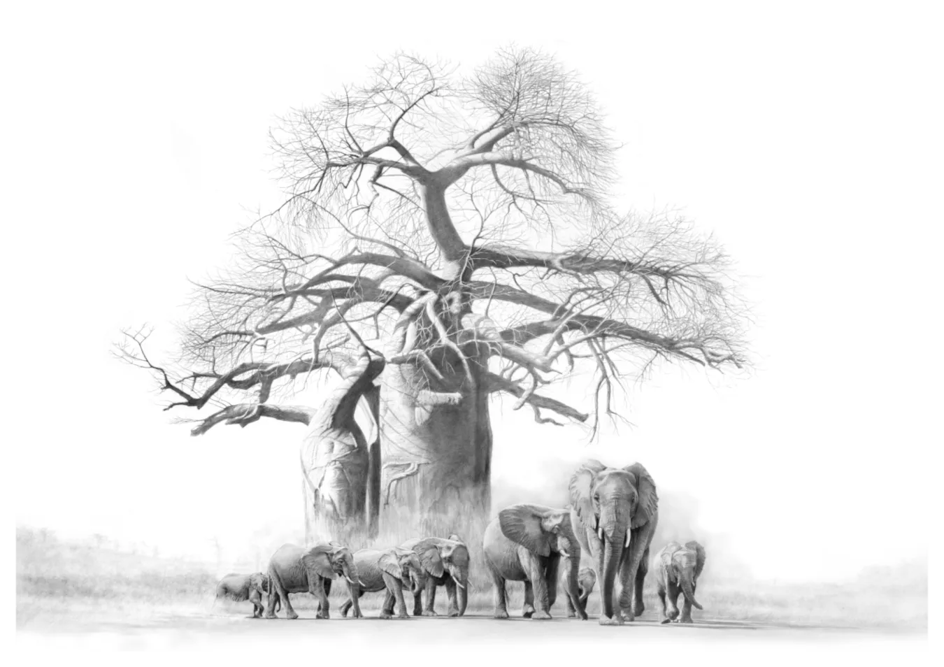 &quot;Quiet Giants&quot; -Limited Edition Print on Fine Art Paper