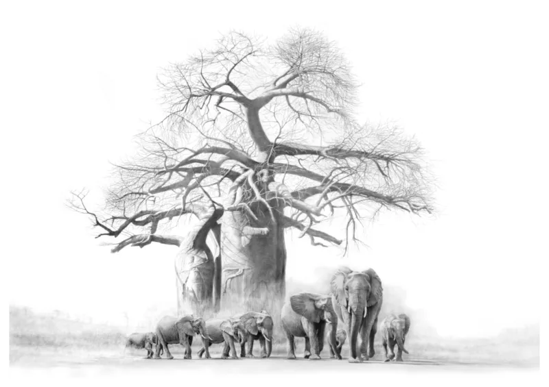 &quot;Quiet Giants&quot; -Limited Edition Print on Fine Art Paper