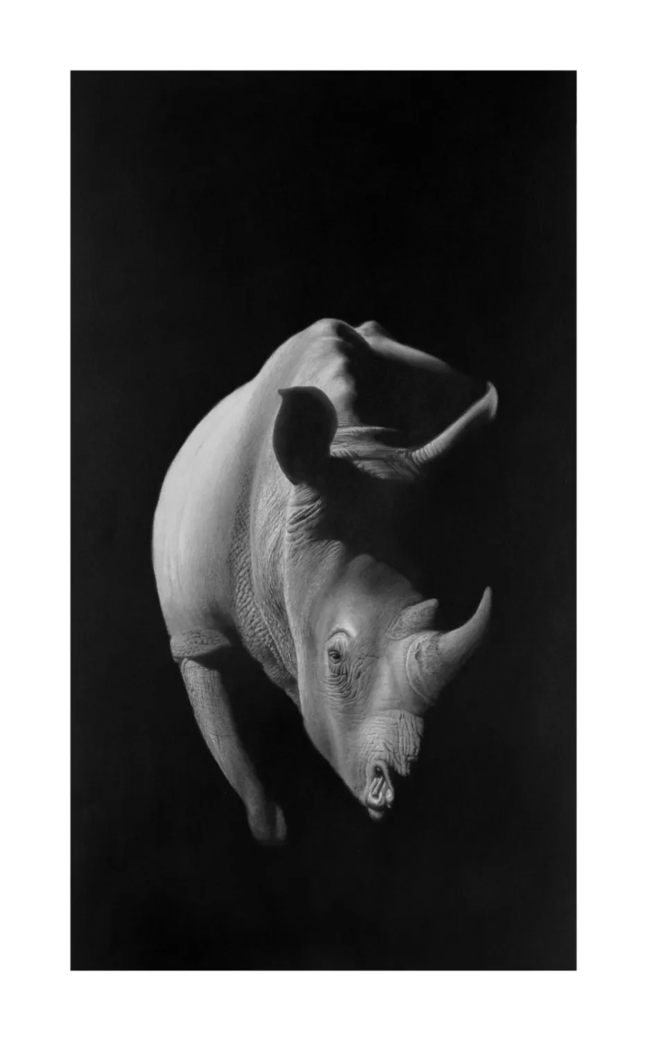 &quot;Revelare&quot; - Original Pencil Art