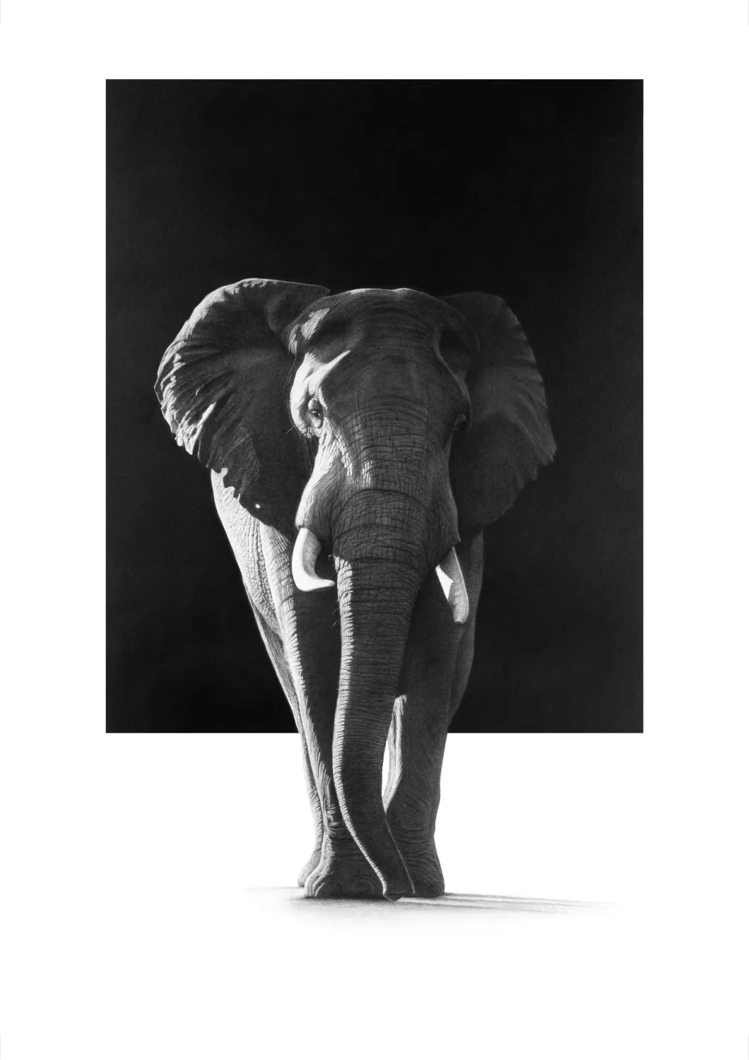 &quot;Right of Way&quot; -Limited Edition Print on Fine Art Paper