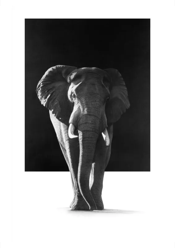 &quot;Right of Way&quot; -Limited Edition Print on Fine Art Paper