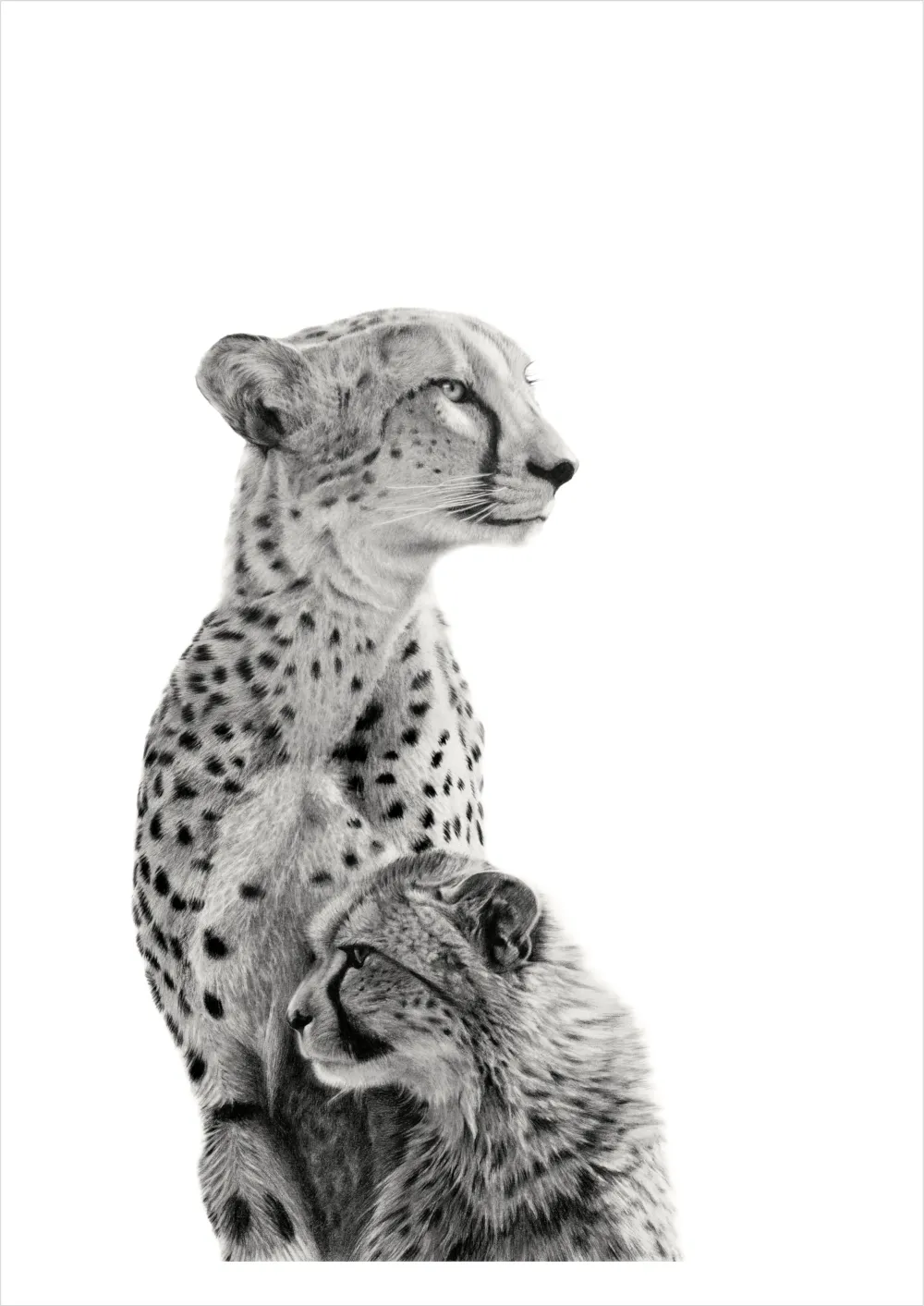 &quot;Sanctuary&quot; -Limited Edition Print on Fine Art Paper