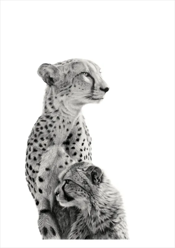 &quot;Sanctuary&quot; -Limited Edition Print on Fine Art Paper