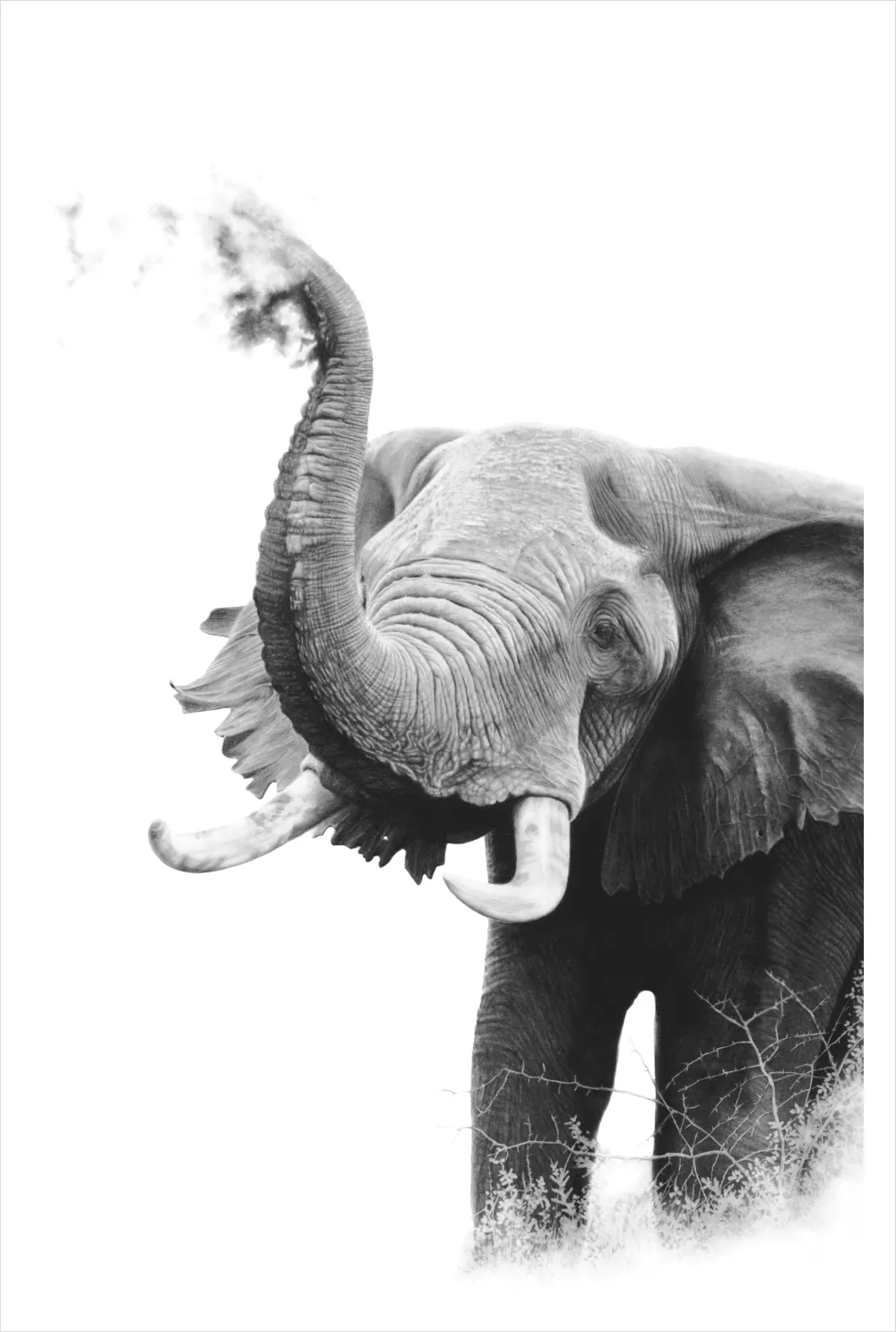 &quot;Shower Time&quot; -Limited Edition Print on Fine Art Paper