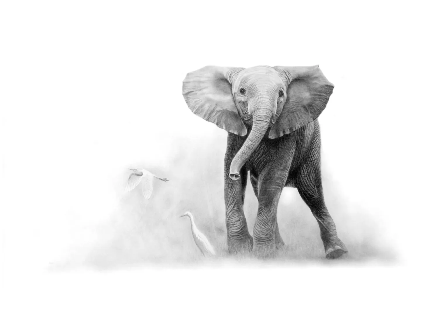 &quot;Skebenga and His Birds&quot; -Limited Edition Print on Fine Art Paper