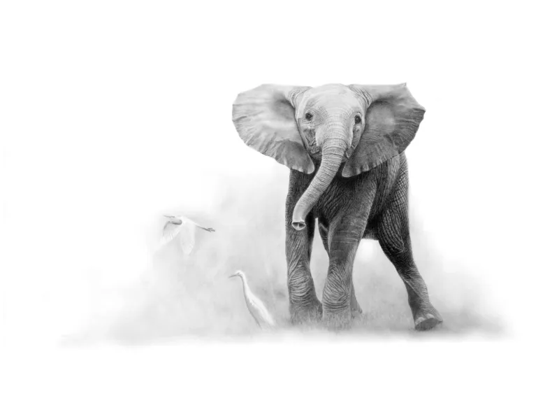 &quot;Skebenga and His Birds&quot; -Limited Edition Print on Fine Art Paper