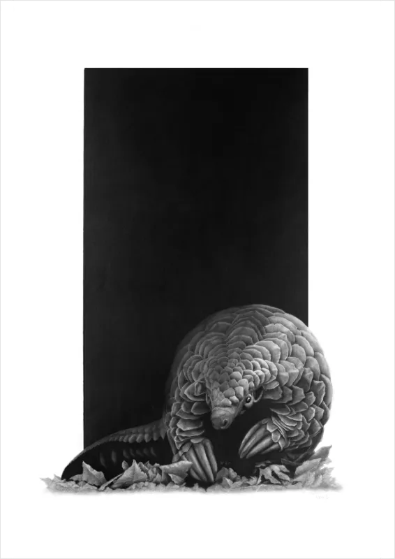 &quot;Spira Mirabilis&quot; -Limited Edition Print on Fine Art Paper