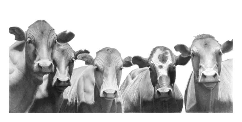 &quot;The 31 Club&quot; -Limited Edition Print on Fine Art Paper