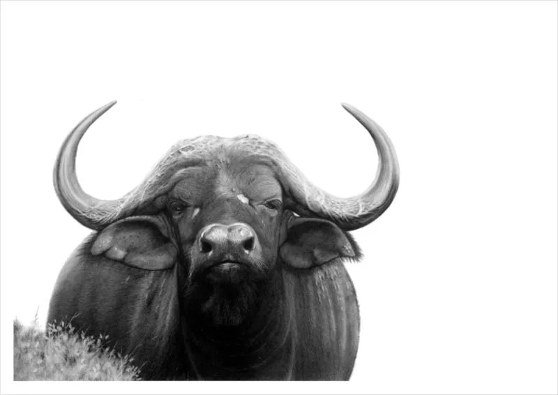 &quot;The Watchman&quot; -Limited Edition Print on Fine Art Paper