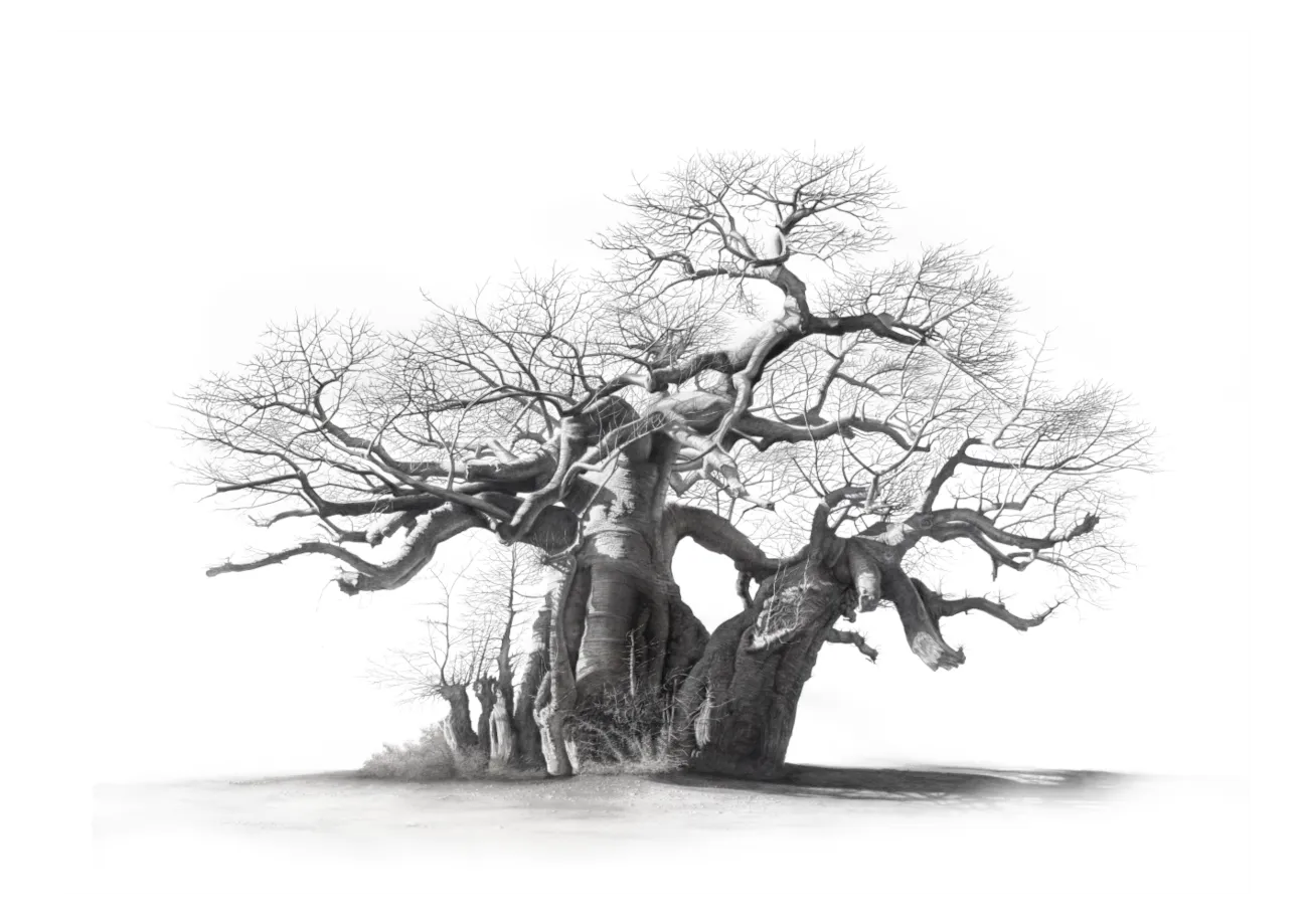 &quot;Timbavati Guardian&quot; -Limited Edition Print on Fine Art Paper