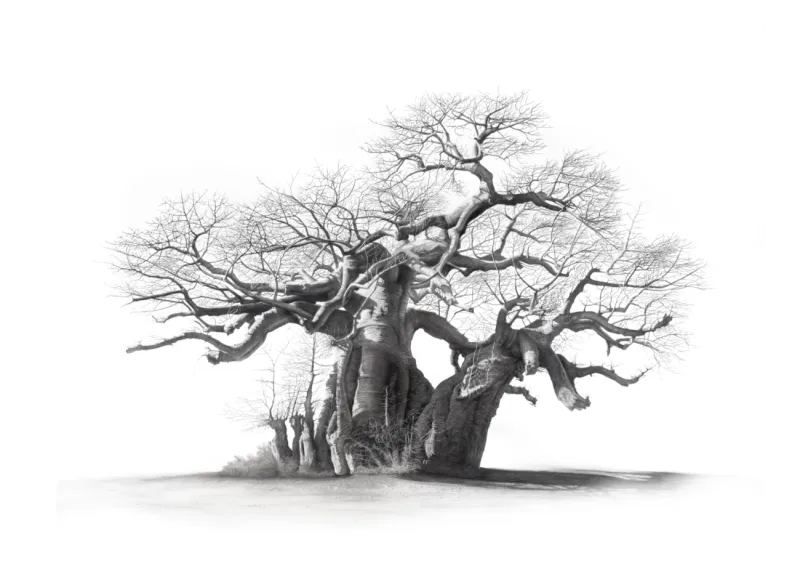 &quot;Timbavati Guardian&quot; -Limited Edition Print on Fine Art Paper