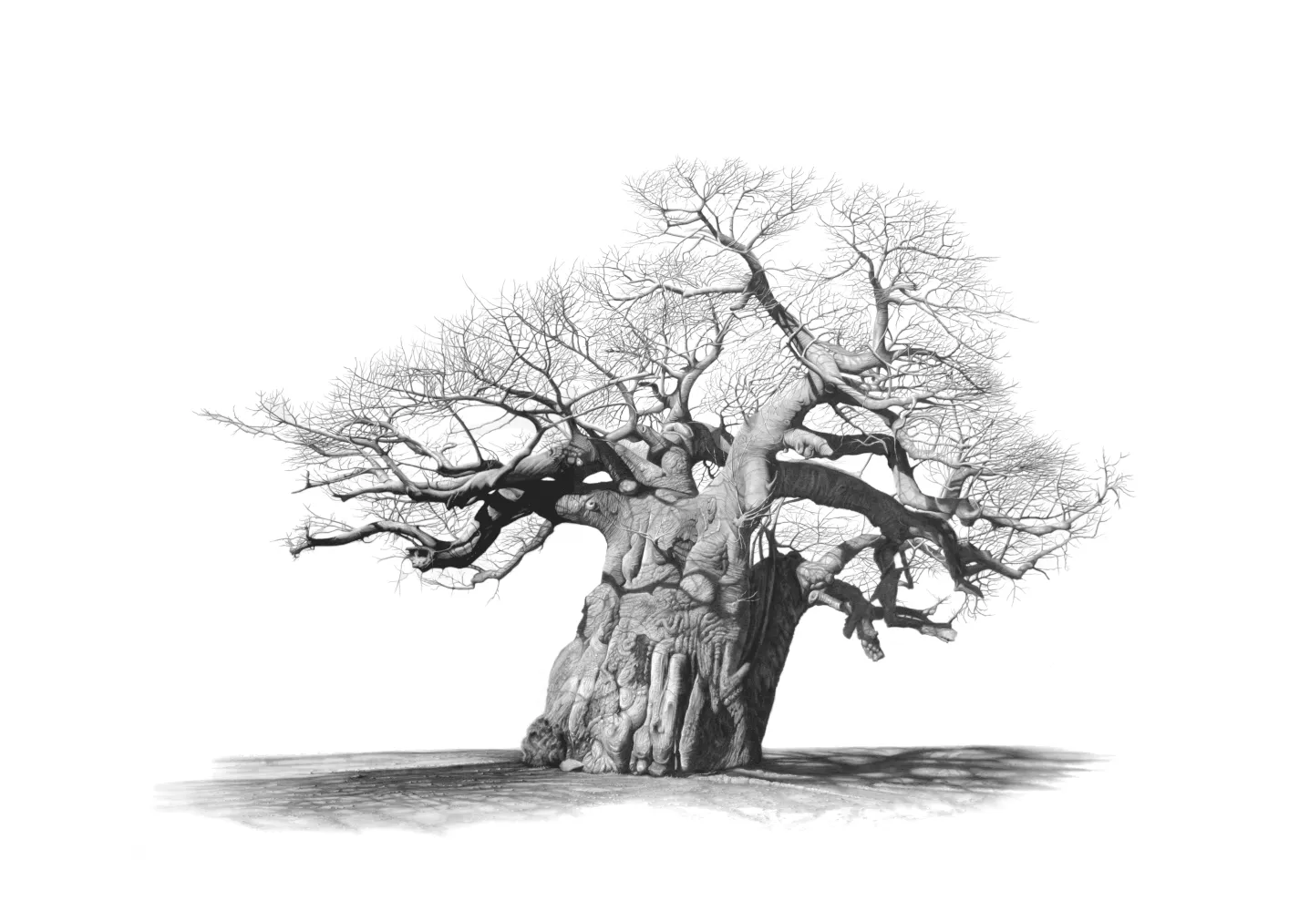 &quot;Timbavati Sentinel I&quot; -Limited Edition Print on Fine Art Paper