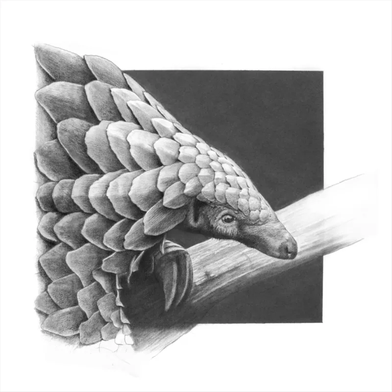 &quot;O&#39; Wise One&quot; -Limited Edition Print on Fine Art Paper