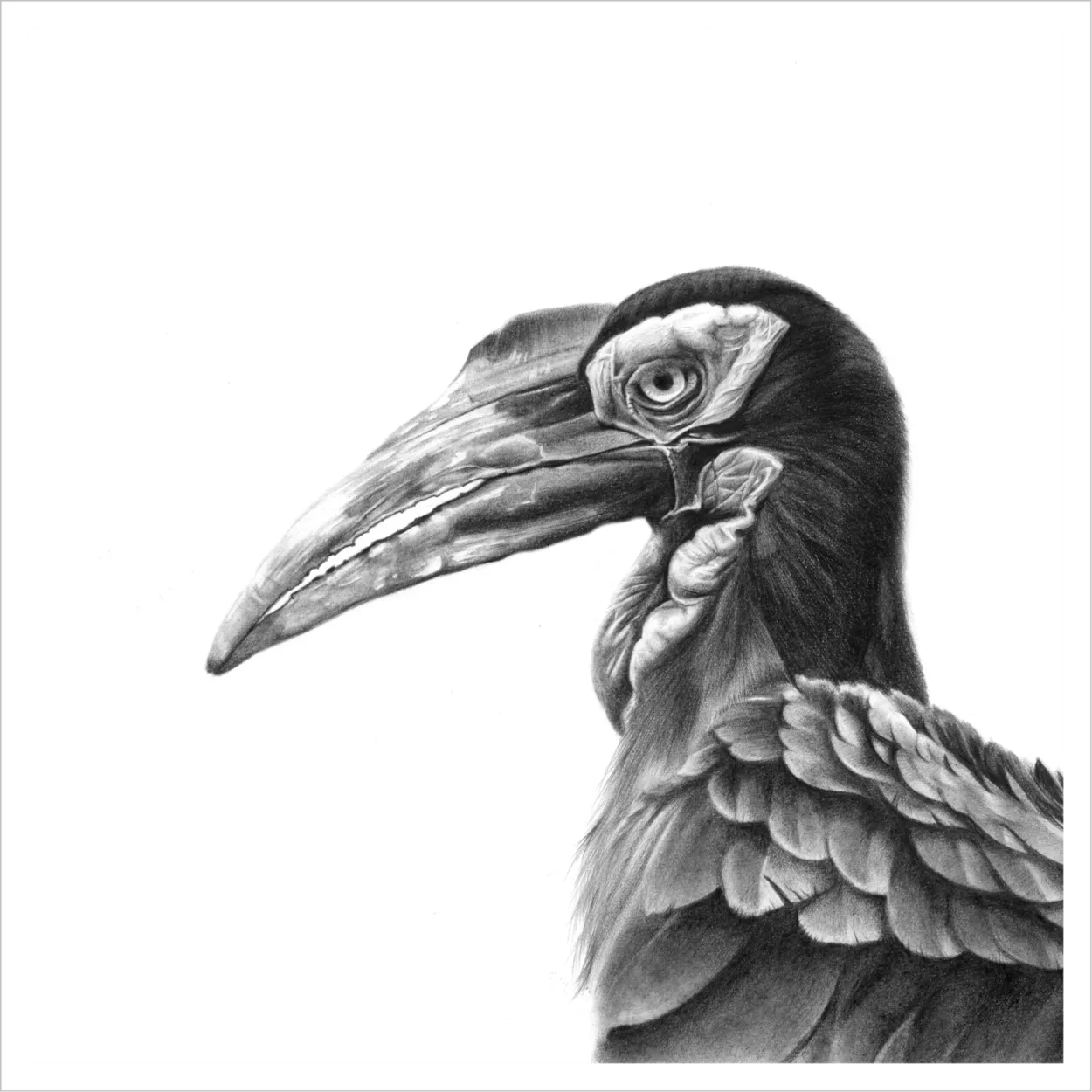 &quot;Lehututu&quot; -Limited Edition Print on Fine Art Paper