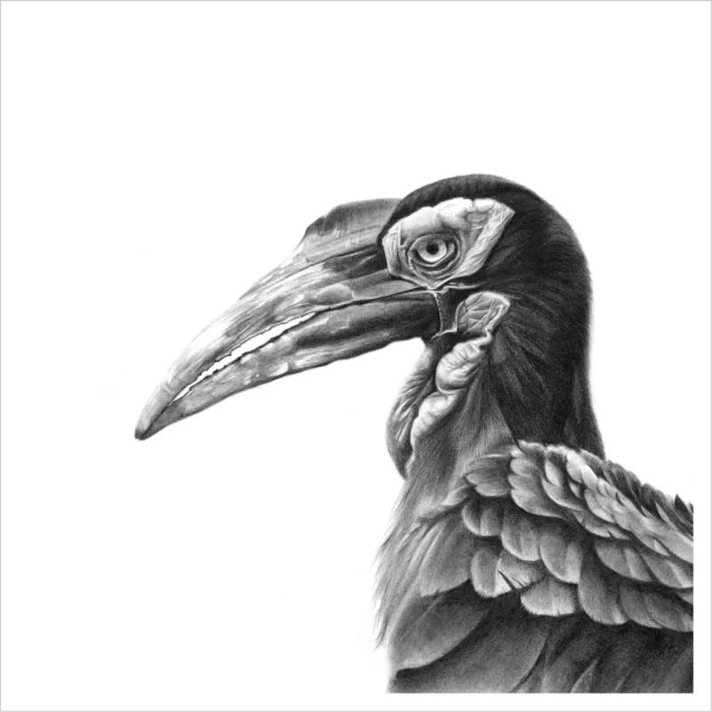 &quot;Lehututu&quot; -Limited Edition Print on Fine Art Paper