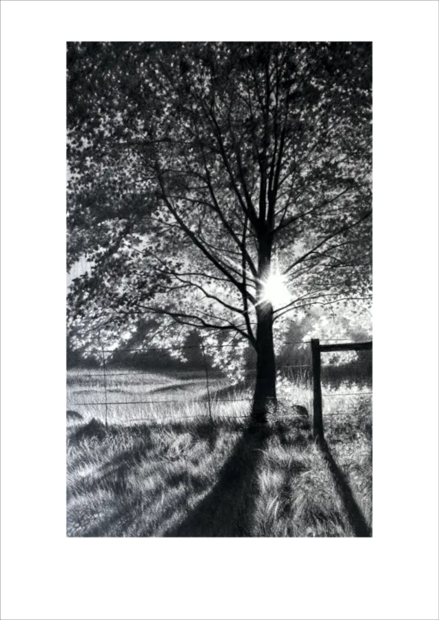 &quot;Afternoon Delight&quot; -Limited Edition Print on Fine Art Paper