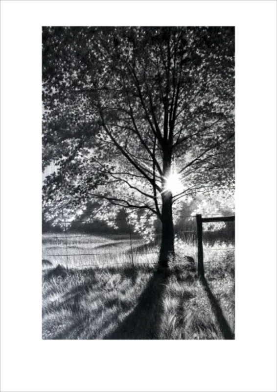 &quot;Afternoon Delight&quot; -Limited Edition Print on Fine Art Paper