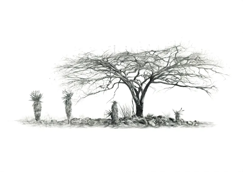 &quot;Aloe Thicket&quot; -Limited Edition Print on Fine Art Paper